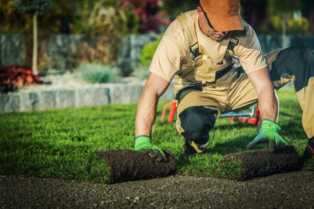 The Benefits of Hiring a Professional Landscaping Company 8 Professional Landscaping Company Laying Sod The Benefits of Hiring a Professional Landscaping Company