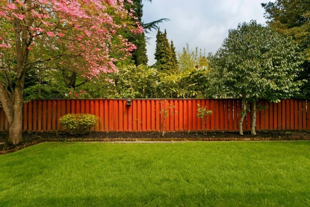 The Top 8 Trees For Property Lines in Georgia 3 Trees for Property Lines 3