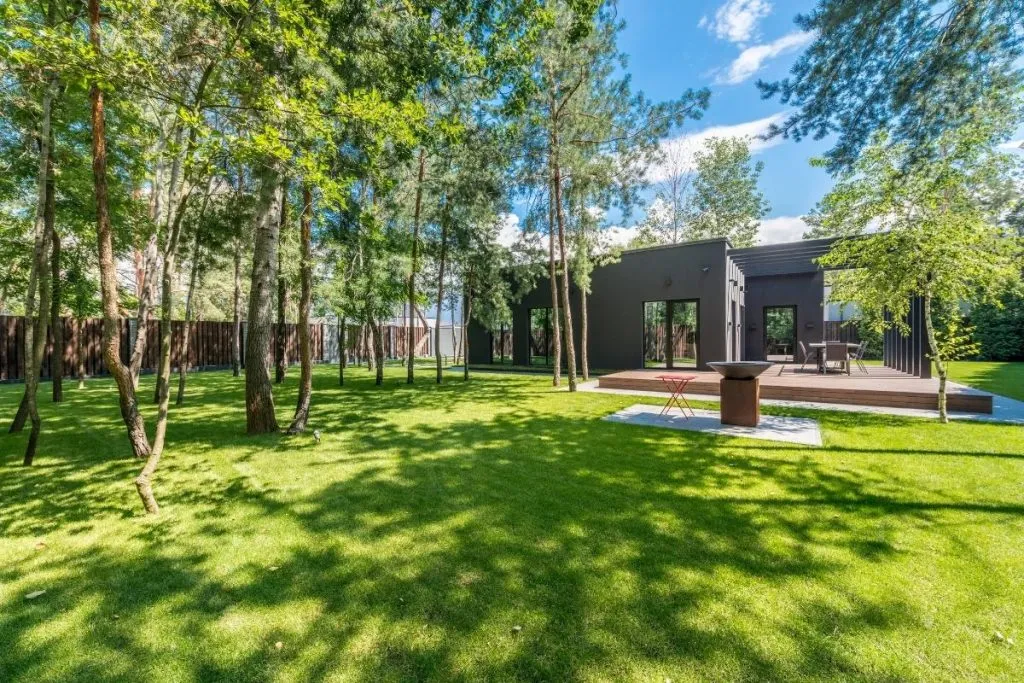 The Top 8 Trees For Property Lines in Georgia 1 Trees for Property Lines 2
