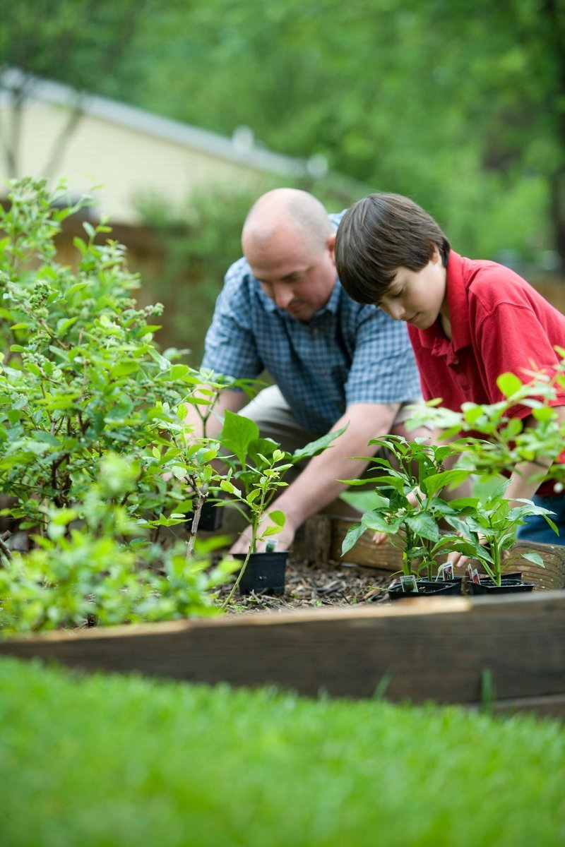 soil preparation for gardening