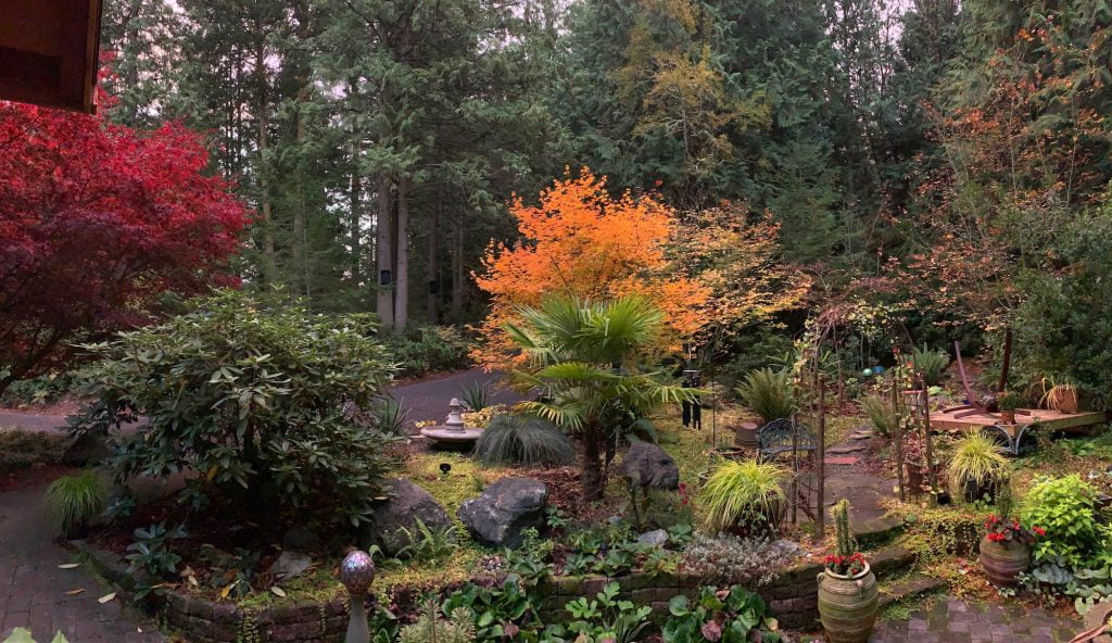 Green And Orange Trees And Plants D412ae7952b21f8387ddb5ef5ed5ac70 2000 How To Choose The Best Plants for Autumn