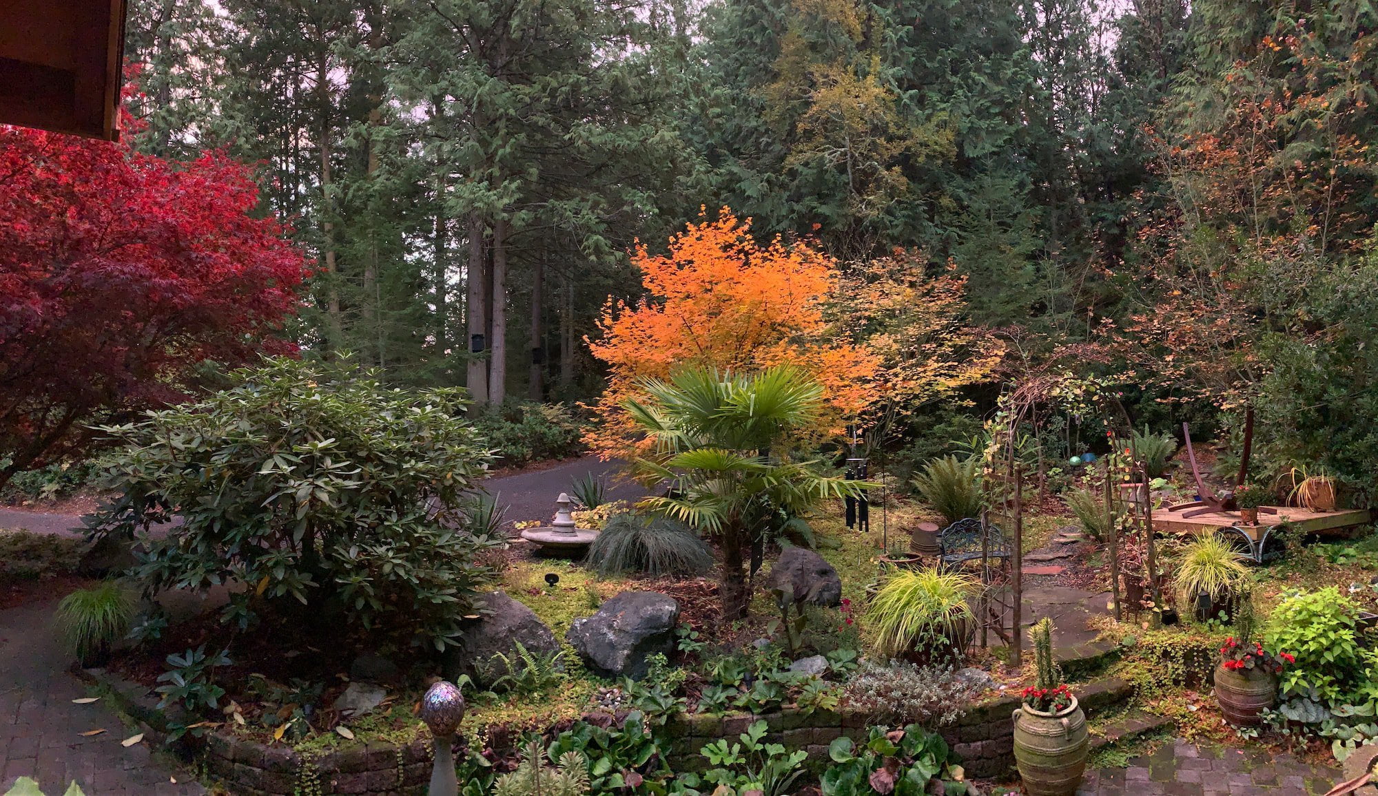 Green And Orange Trees And Plants D412ae7952b21f8387ddb5ef5ed5ac70 2000How To Choose The Best Plants for Autumn
