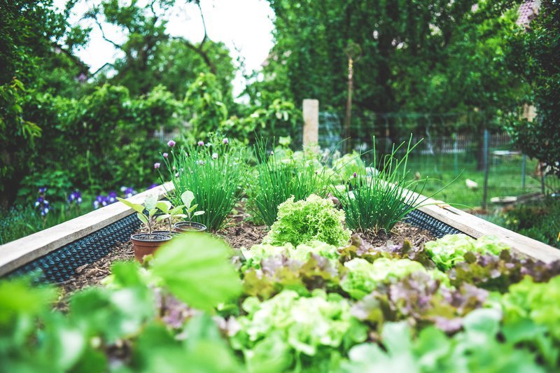 gardening in small spaces