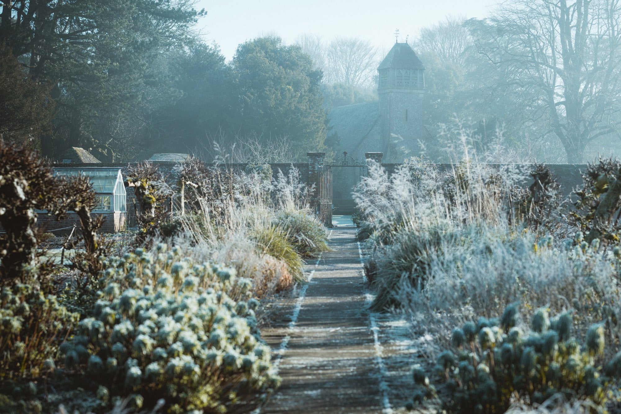 White Flowers On Gray Concrete Road 9bc63998c7107640d11c5684e374e99a 2000 Best Tips for Winterizing Your Garden