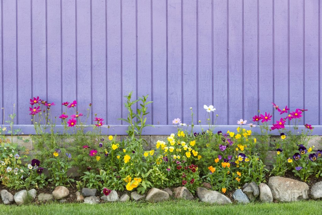 best perennials to plant in georgia