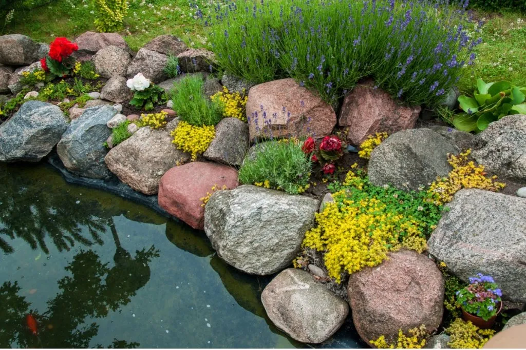 5 Creative Garden Pond Ideas to Transform Your Outdoor Space 3 cottage garden pond ideas