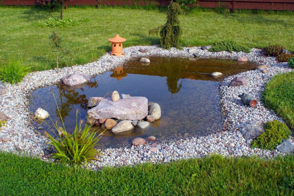garden pond ideas