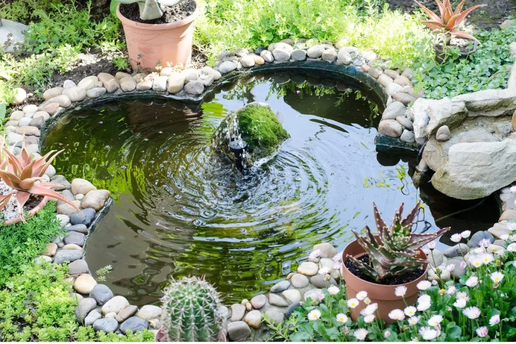 5 Creative Garden Pond Ideas To