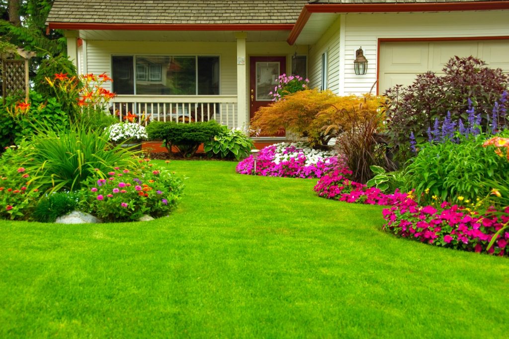 landscaping for the front yard