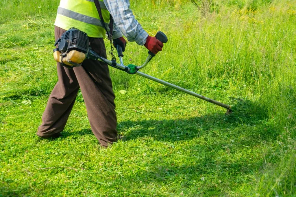 The Best Grass for Georgia: A Comprehensive Guide 2 what grass grows best in georgia