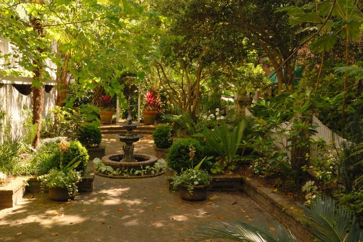 Low Maintenance Perennials 6 Low Maintenance Perennials for Shade: Keep Your Garden Growing with Ease