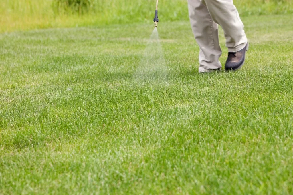 Tips to Get Rid of Crabgrass and Keep Your Lawn Looking Great 2 crabgrass killers