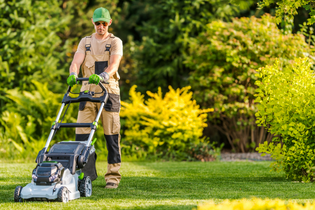 Finding Professional Lawn Leveling Services