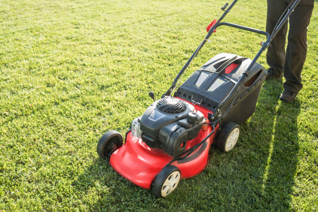 Level Up Your Lawn With Professional Lawn Leveling Services 6 Level Up Your Lawn with Professional Lawn Leveling Services
