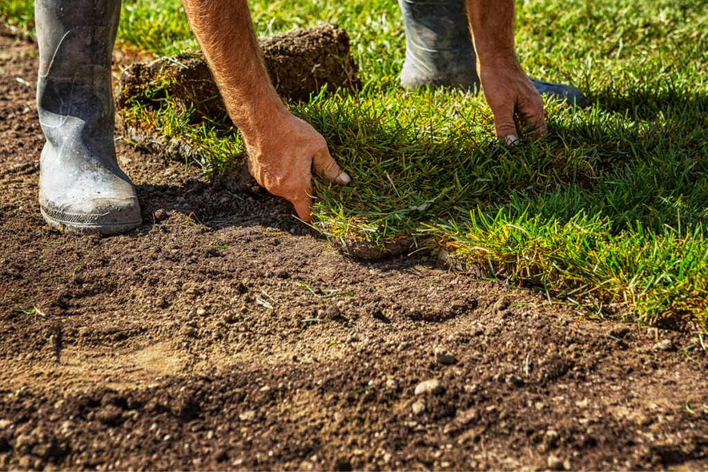 Identifying The Need For Professional Lawn Leveling Services