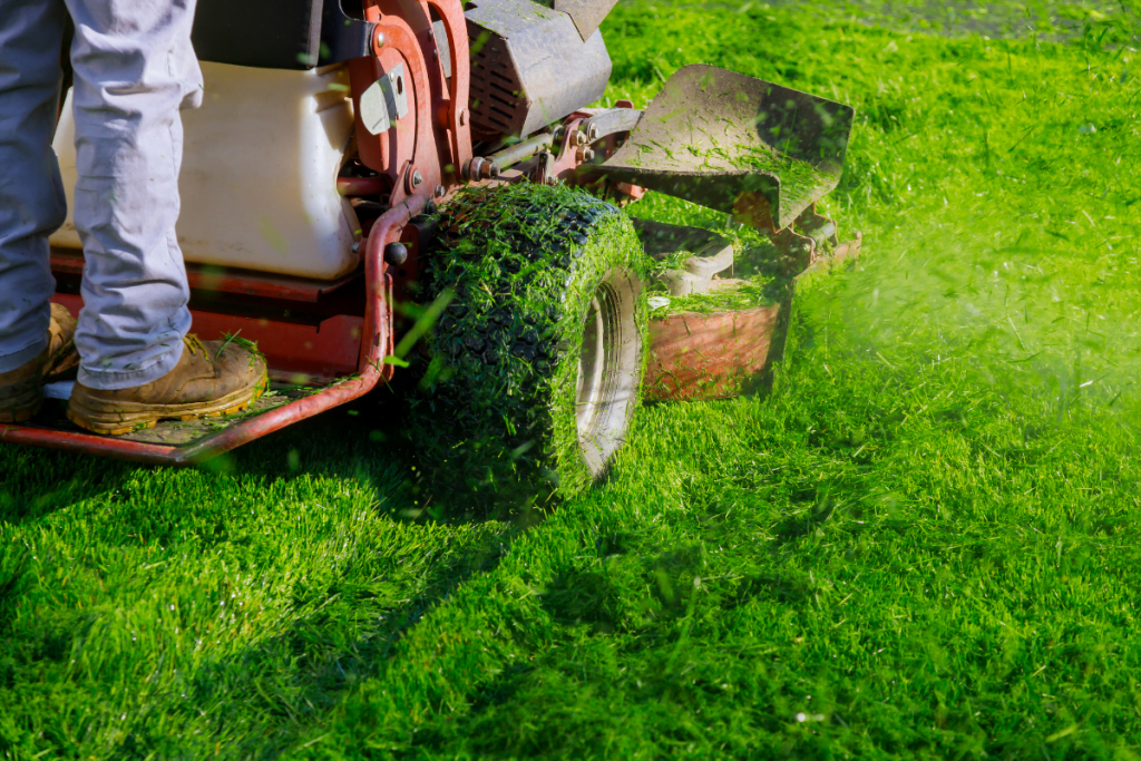 Lawn Leveling Services: Understanding The Process