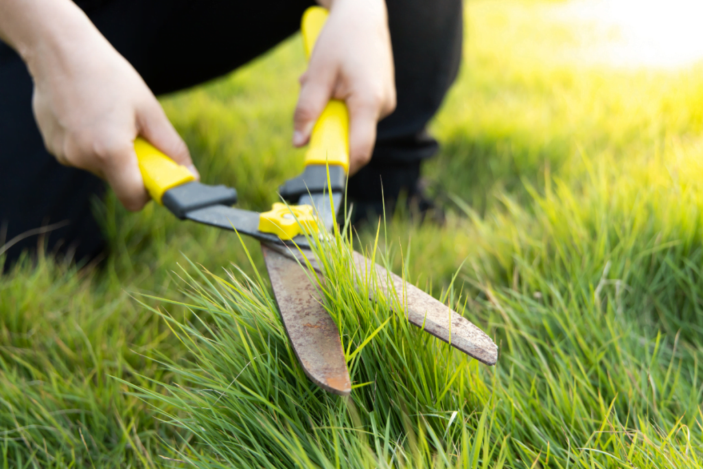 Lawn Leveling Services: Preparing Your Lawn For Leveling