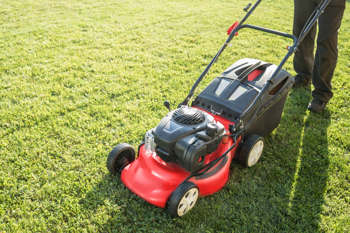 Level Up Your Lawn with Professional Lawn Leveling Services