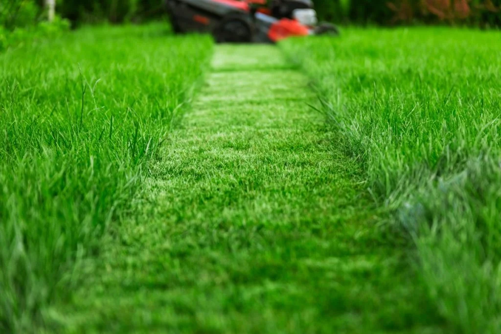How to Easily Fix Uneven Lawns for a Flawless Yard 4 leveling a lawn