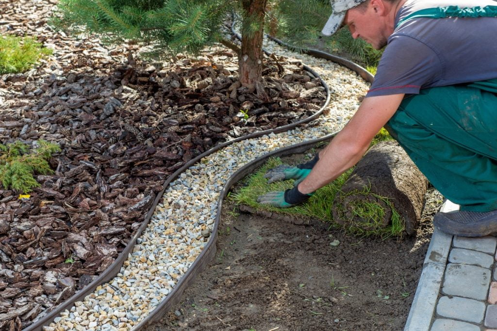 repairing a lawn