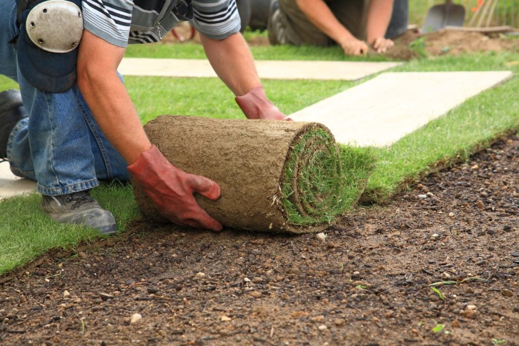 yard leveling near me