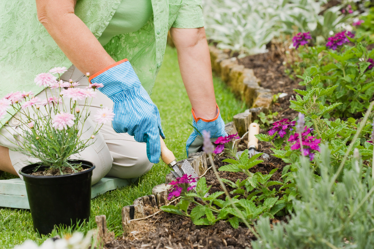 How to Prevent Weeds from Growing in Your Garden