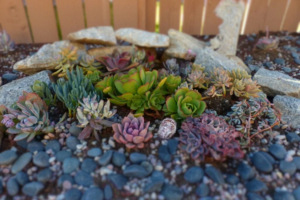 10 Ideas For Creating A Backyard Botanical Garden Oasis Botanica Gardens 10 Ideas for Creating a Backyard Botanical Garden Oasis