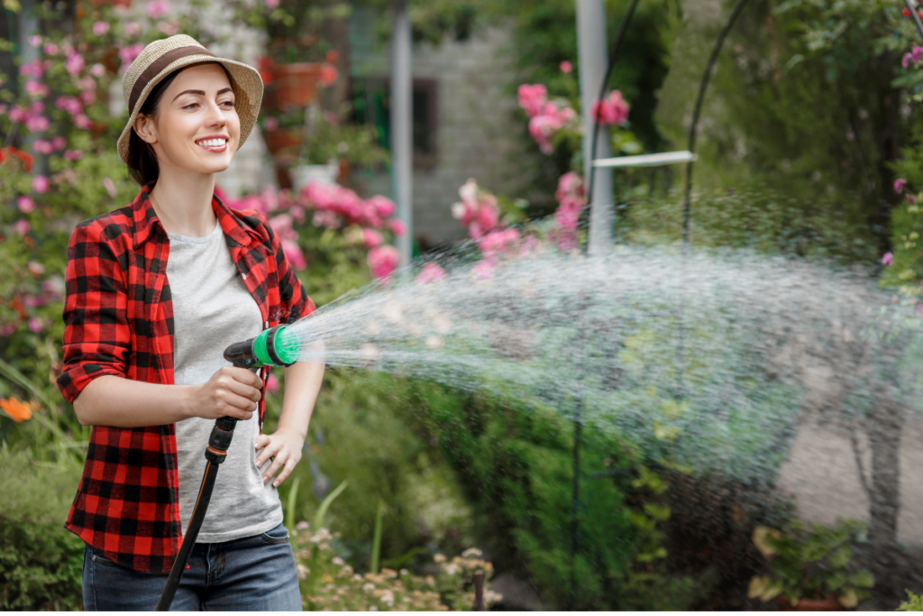 Care And Maintenance For Daylilies In Sun Or Shade