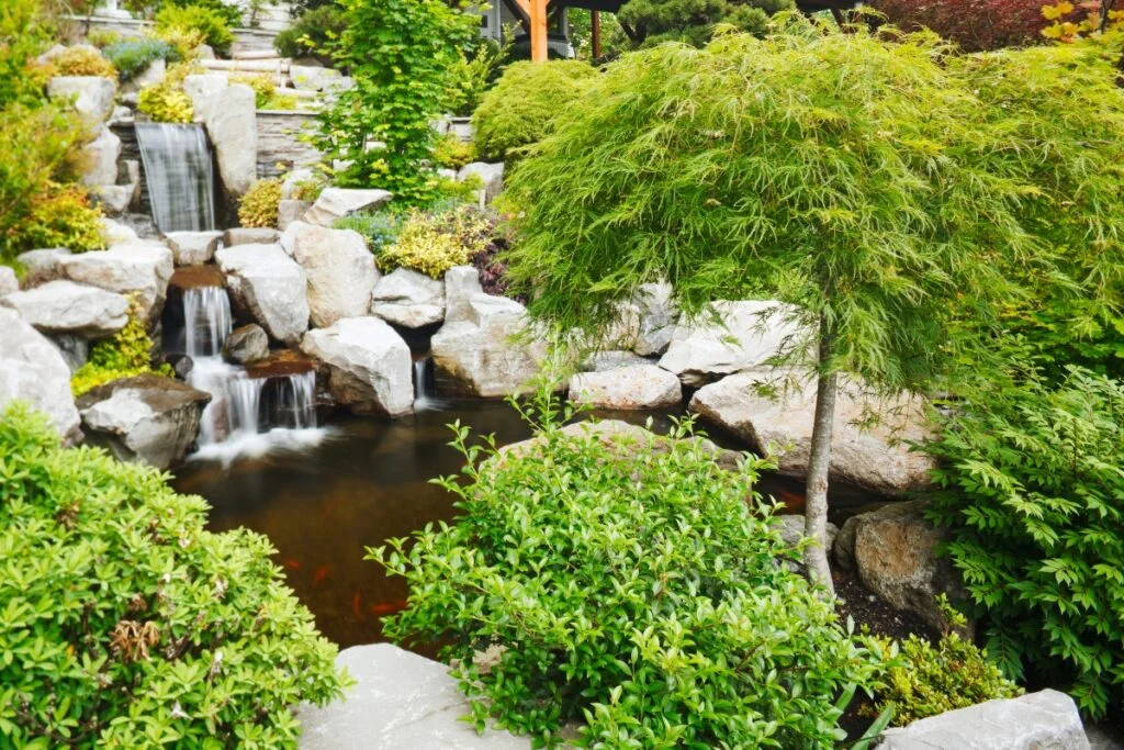 10 Ideas For Creating A Backyard Botanical Garden Oasis Gardens Botanical 10 Ideas for Creating a Backyard Botanical Garden Oasis