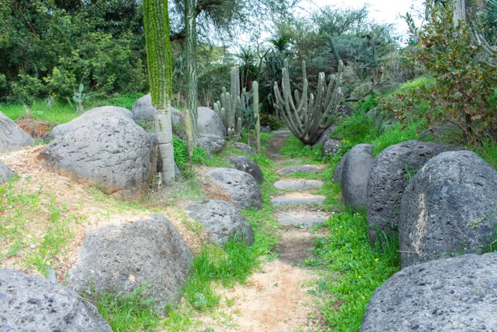 A grassy path lined with large boulders for landscaping.