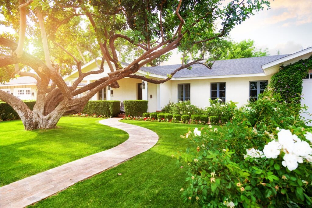 A white house with a front yard landscape design featuring grass and trees.