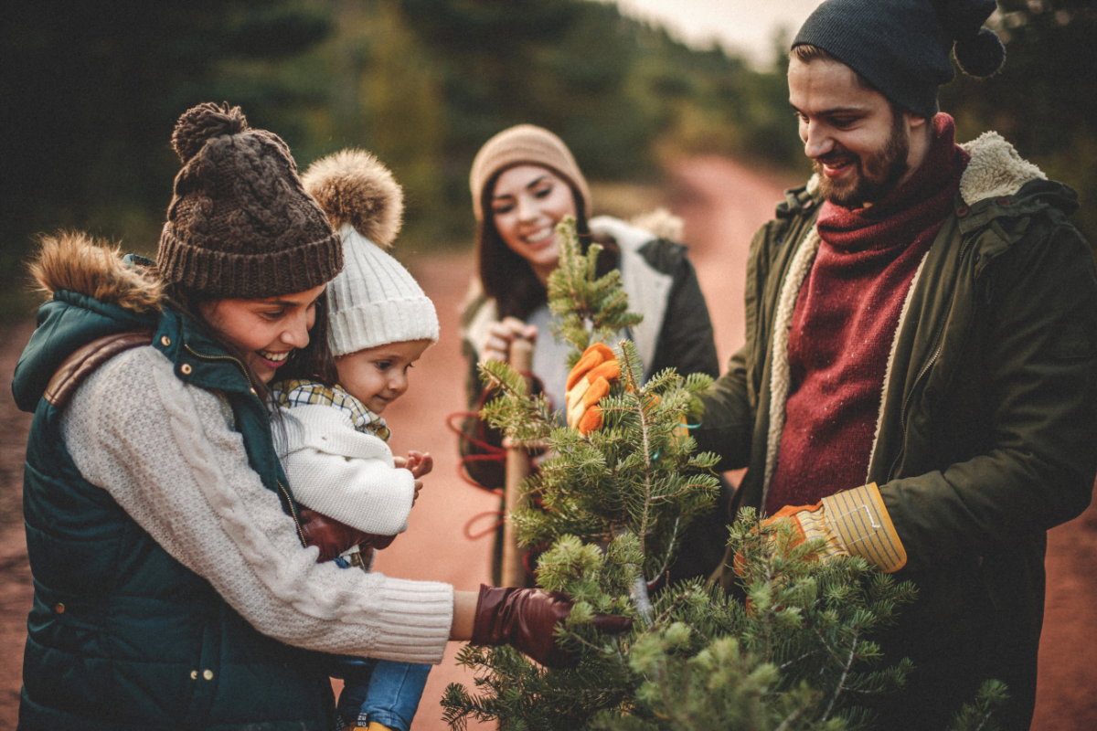 A family is happily planting their own Christmas trees in their backyard.