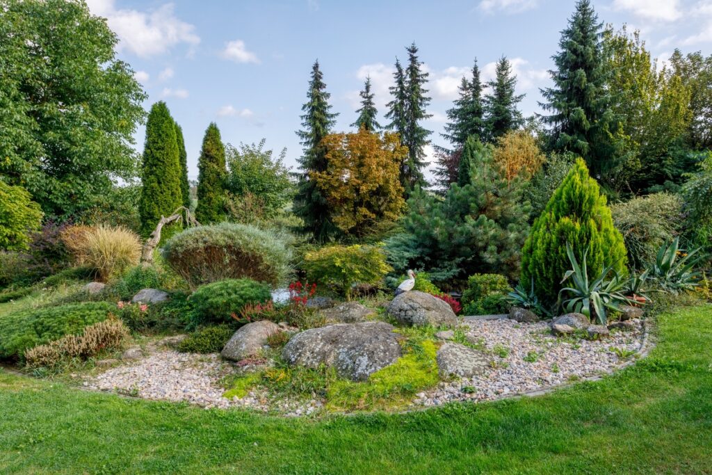 An evergreen garden with trees and rocks in the background.