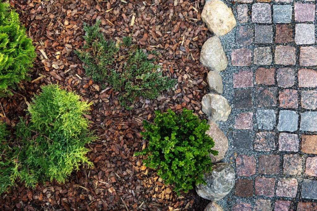 Building a garden path amidst a landscape filled with shrubs and incorporating stone elements.