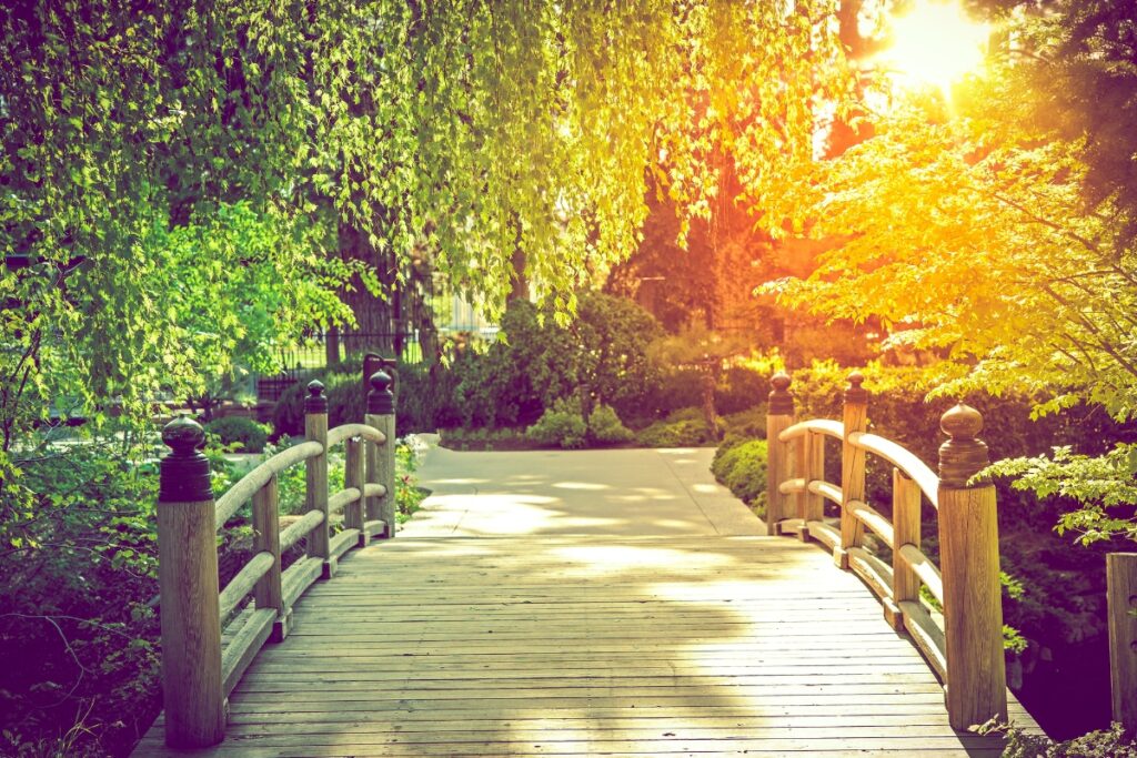 A wooden bridge in a sunny park, building a garden path.