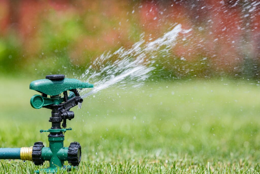 Winter lawn care tips: Watering a lawn with a sprinkler.