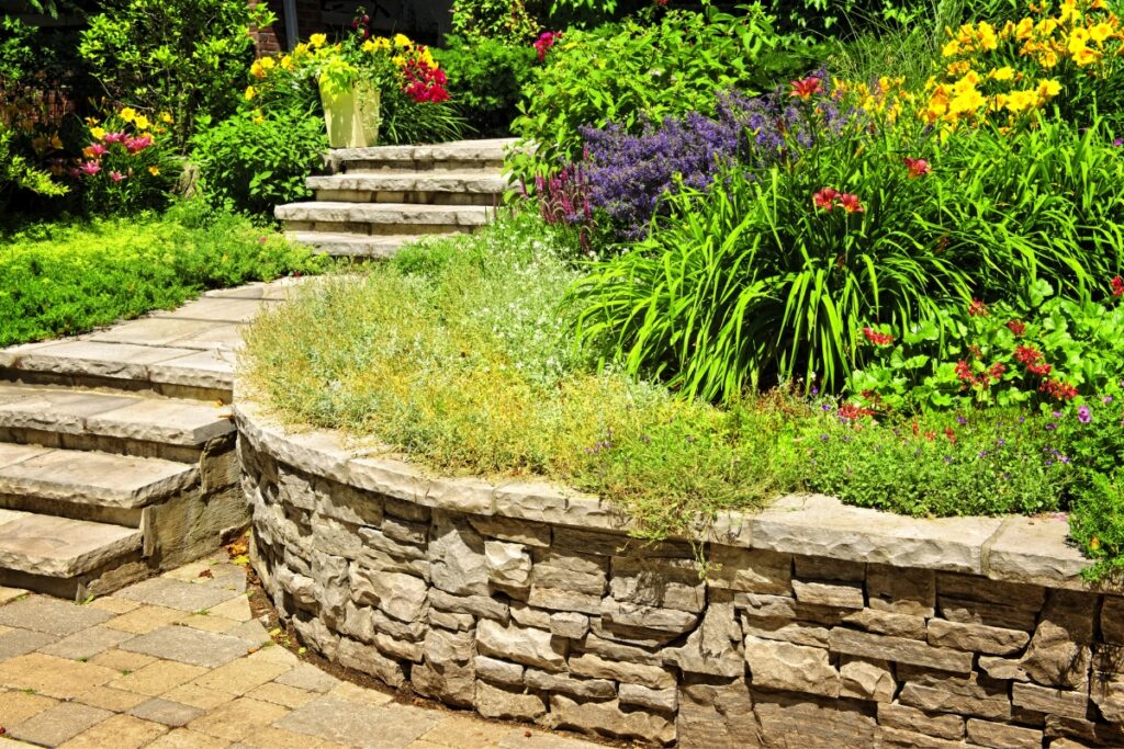 A garden with stone steps leading to a flower border.