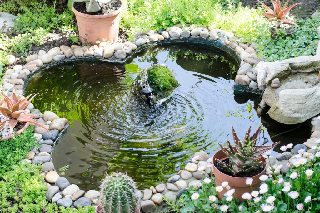 A pond adorned with potted plants and rocks, following the latest water feature trends.