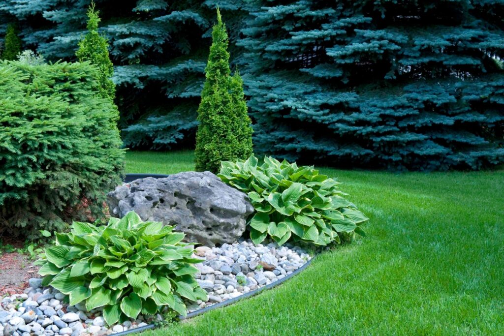 Landscaped garden with decorative rocks, a variety of green shrubs, and outdoor living trends.