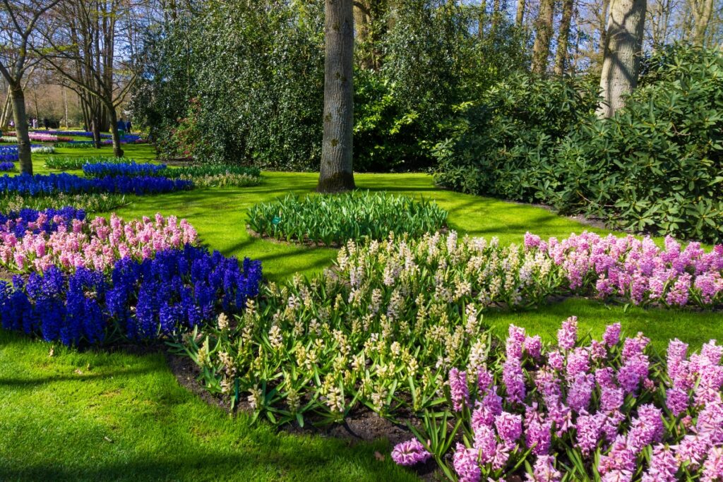 Vibrant flower beds with purple and blue blooms in a sunlit park with trees embody outdoor living trends.