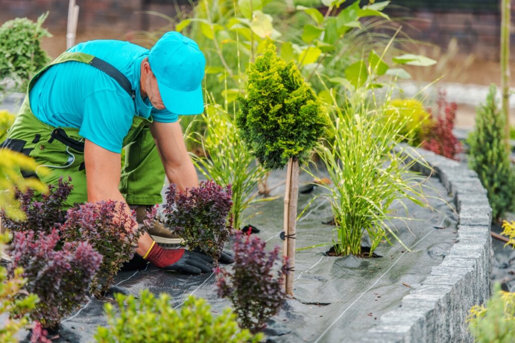 A gardener kneeling to tend to plants in a garden nursery, embracing outdoor living trends.