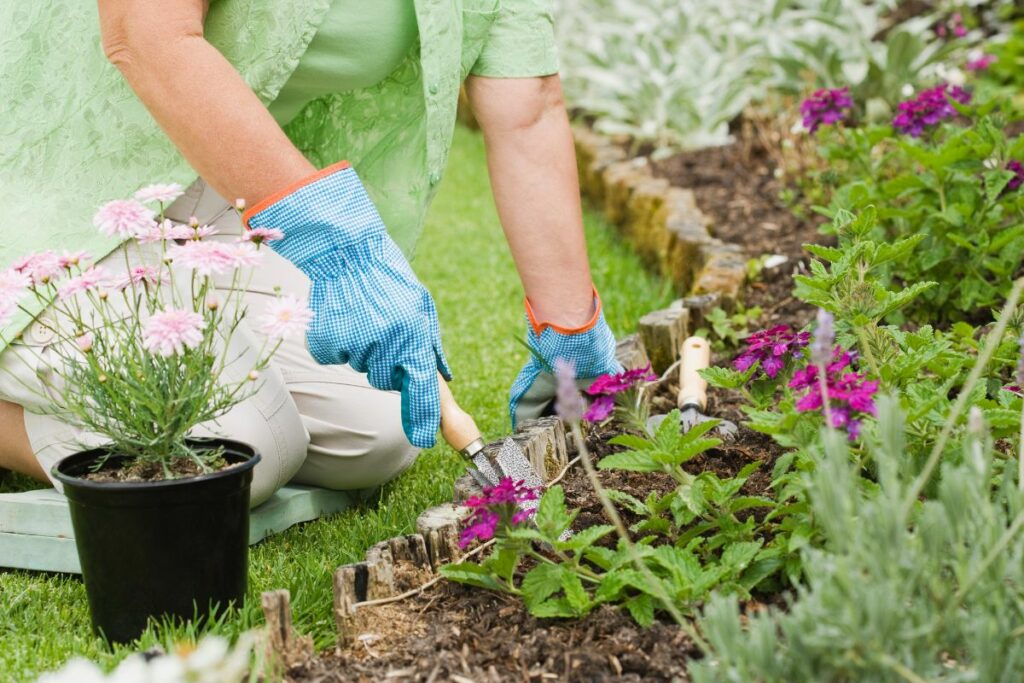 A person wearing gloves plants flowers in a garden bed alongside already blooming plants, practicing eco-friendly landscaping.