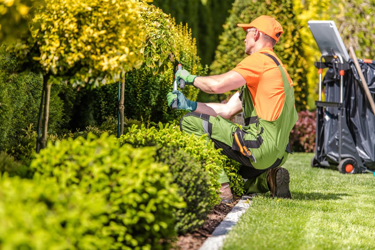 Gardener in orange shirt and cap pruning a bush with clippers, kneeling beside a wildlife-friendly hedge, with a lawn mower in the background.