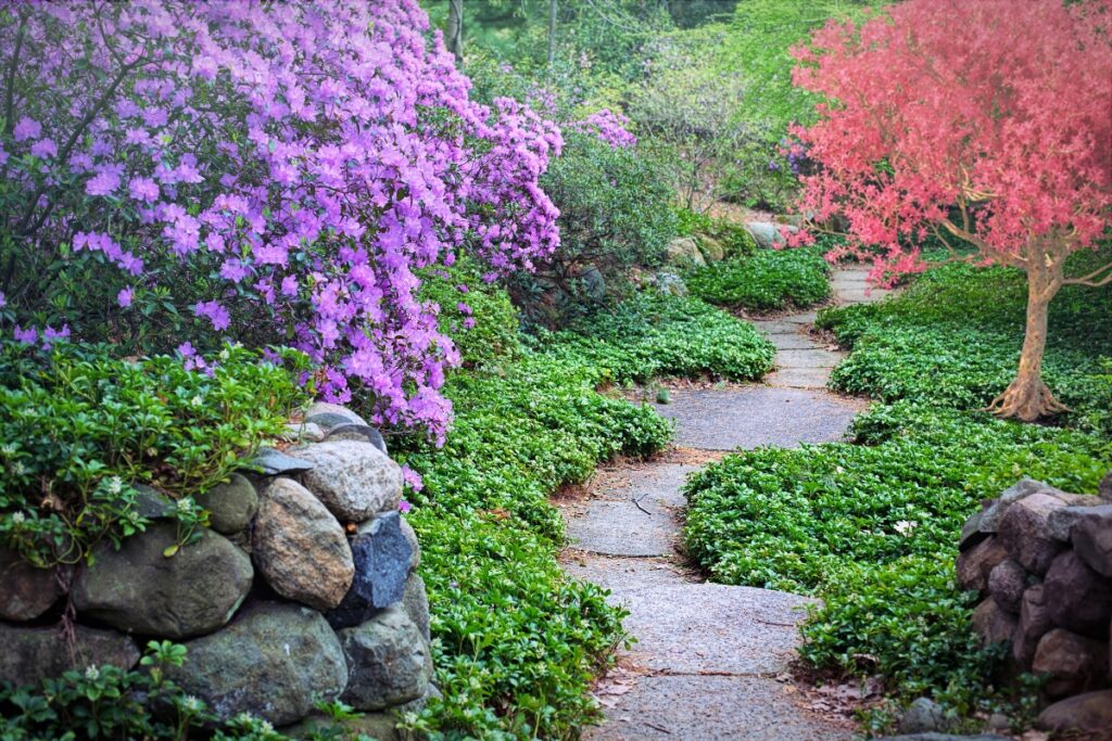 A serene wildlife-friendly garden pathway flanked by lush greenery, vibrant purple azaleas, and a striking red tree.