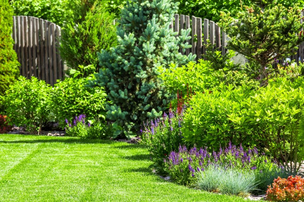 Well-manicured garden with lush green grass, vibrant flowering plants, and a wooden fence under sunny skies, designed for wildlife-friendly landscaping.