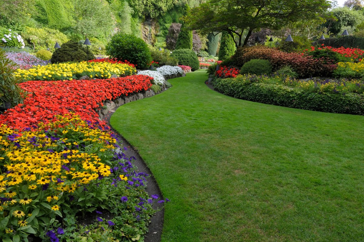 A landscaped garden with a curving grass pathway is bordered by colorful flower beds, including red, yellow, and purple blooms, with shrubs and trees in the background. For those seeking summer gardening tips, this picturesque setting serves as perfect inspiration.