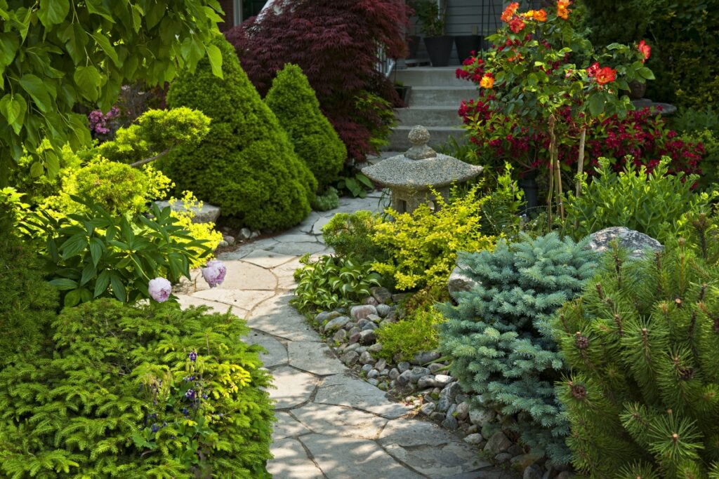 A garden path winds through manicured shrubs, vibrant flowers, and various plants, offering a perfect setting for summer gardening tips as it leads to a stone lantern.