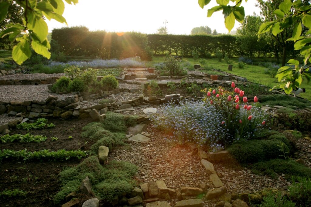 A garden in the evening light with stone pathways, blooming tulips, green shrubs, and a backdrop of hedges and trees—a serene space that inspires sustainable home practices.