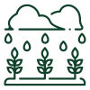 Line drawing of three plants being watered with raindrops, under two cloud shapes in the background, illustrating our expert landscaping services.