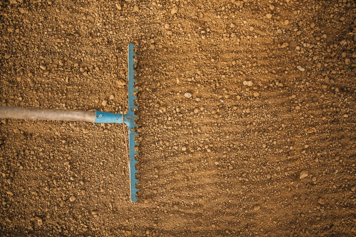 A blue rake lies on brown, freshly tilled soil, embodying seasonal landscaping at its finest.